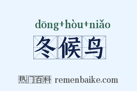 冬候鸟是什么意思的图片